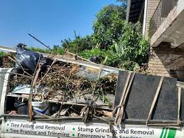  Level Park Oak Park, MI Junk Removal Pros